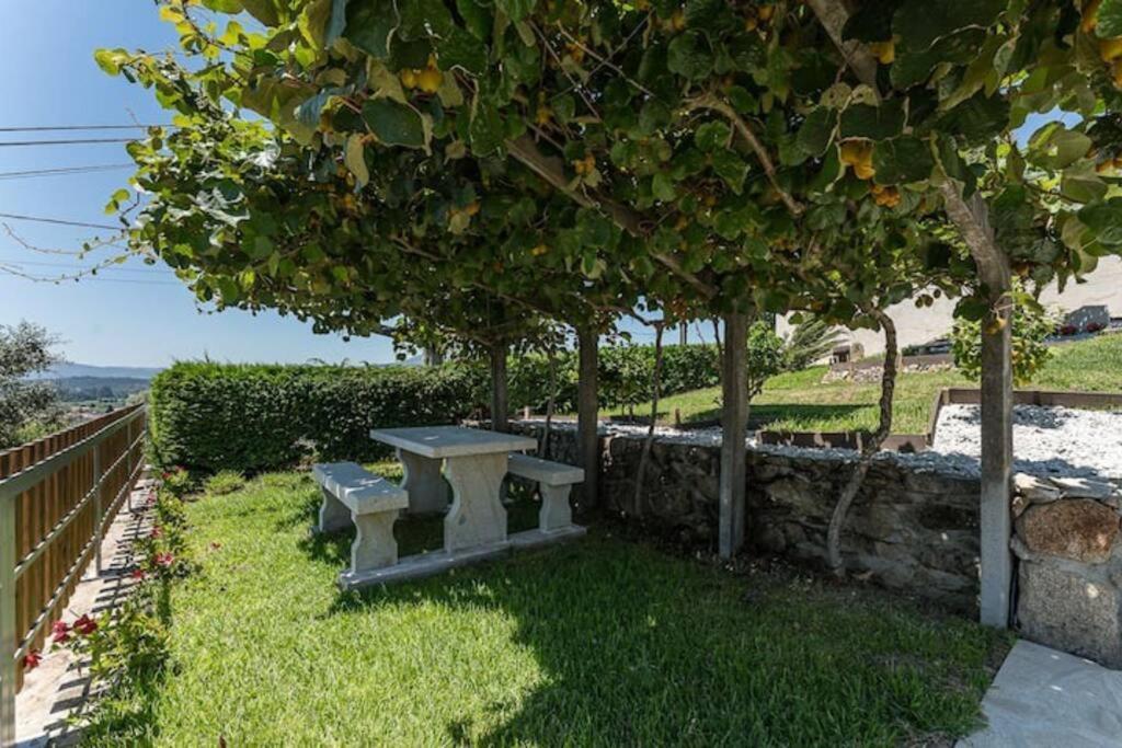 Fernandes Guest House Bright Private Suite Ponte de Lima Exteriör bild